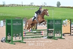 BPP_3311