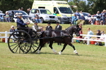 3E7A2690