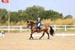 SBM_009491