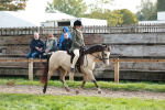 SBM_56334