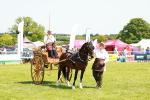SBM_06662