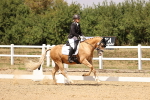 SBM_008788