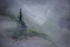 Alone in the Fog