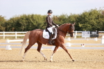 SBM_016850