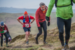 Black Combe-504