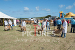 West Show_2014-2