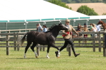 SBM_02397