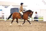 SBM_04657