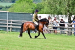 SBM_07964