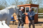 Trot Up portfolio