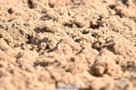 240622A-084022-07245