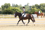 SBM_002930