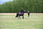 WJ6_3159