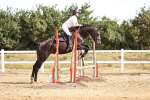 SBM_000162