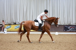 SBM_002401