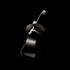 BASS