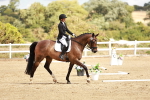 SBM_011386