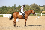 SBM_010259