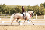 SBM_017015