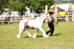 SBM_08658