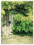 Secret Garden