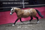 BPP_2740