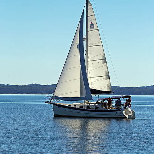 Saling on Passamaquoddy Bay