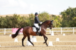 SBM_008713