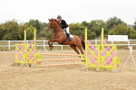 SBM_008479