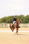 SBM_006473
