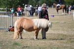 WJ6_9123