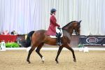 SBM_006091