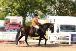 SBM_13432