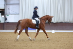 SBM_000223
