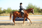 SBM_00376