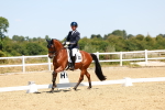 Class 11 - M6 portfolio
