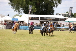 SBM_16522