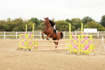 SBM_008695