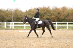 SBM_000783