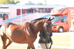 SBM_10763