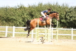 SBM_008106