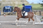 BPP_8533