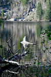 3HPhotography10-6-24_RMNP_0115_