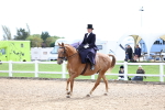 SBM_03351
