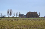 Dokkum area, Friesland, Netherlands