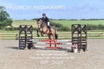 BPP_3509