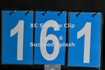 ESP_161
