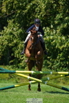Section E, 90cm Seniors, Rider 201 to 225 portfolio