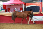 SBM_15973
