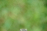 240802A-161122-05718